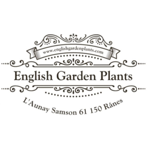 Logo English Garden Plants